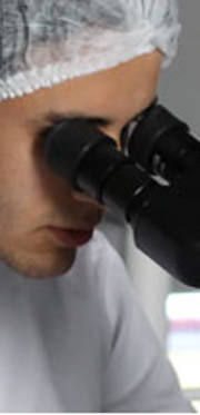 Living with Lyme Disease in India Living with Lyme Disease in India